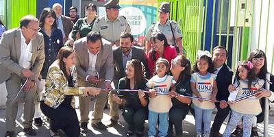 Girasoles De Carampangue