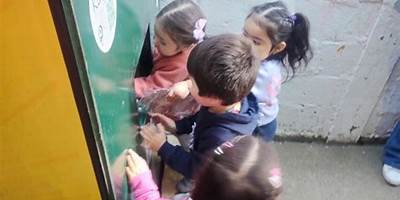 JOSEFINA BRAUN MENÉNDEZ