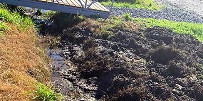 LAS LOMAS DE CARAHUE