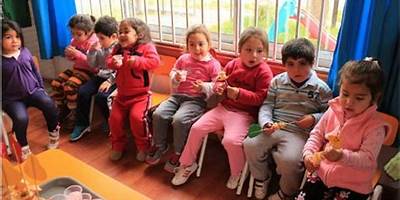 Los Piececitos Del Llaima