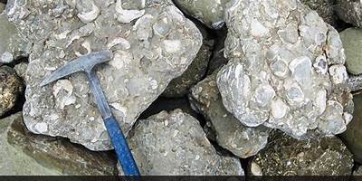 Programa Comunicacional Caleta Cocholgue