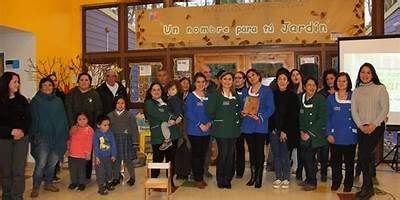 Semillas De Punucapa