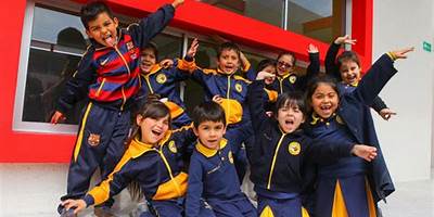 Semillita De Ilusion Mininco