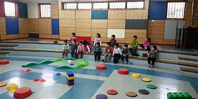 Semillitas De Alegri