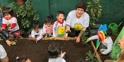 Semillitas De La Paz